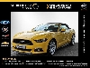 Ford Mustang Convertible GT V8 FGS 7 Jahre,Navi,Leder,19Zoll