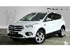 Ford Kuga Cool Connect 2.0 TDCI Winter Paket Kamera