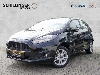 Ford Fiesta 1,25 Trend 82PS Alu,Nebel,Klima,Metallic,