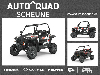 Polaris RZR S1000 EPS ( EU )