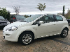 Fiat Punto Evo,1.Hand,Klima,Radio,Service NEU!