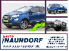 Ford EcoSport 1,0 EcoBoost Titanium Klimaaut Einparkh Sitzheizun