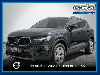 Volvo XC40 T3 Momentum Pro KAMERA H/K NAVI LED W-LAN