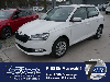 Skoda Fabia III 1.0 TSI SMART AMBITION * SHZG * KLIMA 