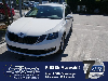 Skoda Octavia Combi 2.0 TDI DPF AMBITION FAMILY * PARK