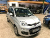 Fiat Panda Lounge