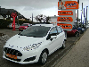 Ford Fiesta 1.25 Trend, WINTER PAKET