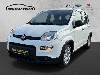 Fiat Panda Base 1.0 Mild Hybrid DAB Klima BT el.SP Spieg. beheizbar teilb.Rcksb