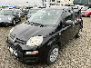 Fiat Panda 1.2 Pop/TV/Klima/Voll Serviceheft gepflegt