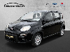 Fiat Panda Base 1.0 Mild Hybrid DAB Klima Freisprech BT el.SP Spieg. beheizbar t