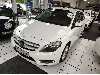 Mercedes-Benz B 200 URBAN AHK XENON MEMORY TOTWINKEL NAVI