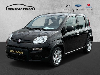 Fiat Panda Base 1.0 Mild Hybrid DAB Klima Freisprech BT teilb.Rcksb eFH Tagfahr