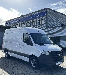 Mercedes-Benz Sprinter 317CDI Stand/Fahrkh. nur 542km