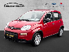 Fiat Panda Base 1.0 Mild Hybrid DAB Berganfahrass. Klima Freisprech BT teilb.Rc