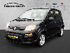 Fiat Panda Base 1.0 Mild Hybrid DAB Berganfahrass. Klima Freisprech BT teilb.Rc