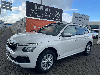 Skoda Kamiq 1.0 TSI DSG Selection/Kamera/Panorama