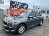 Skoda Kamiq 1.0 TSI DSG Selection/Kamera/Panorama