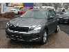Skoda Kamiq 1,0 TSi Sitzh LED PDC Alu Klima