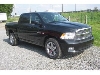 Dodge  Ram 1500 Crew Cab Sport 5,7 MJ 2010 sofort