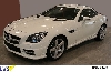 Mercedes-Benz SLK 250 CDI BlueEFF. - SPORTPAKET AMG/COMAND -