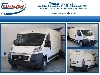 Fiat DUCATO 35 2.3 MJT 130CV PLM-TM Furgone